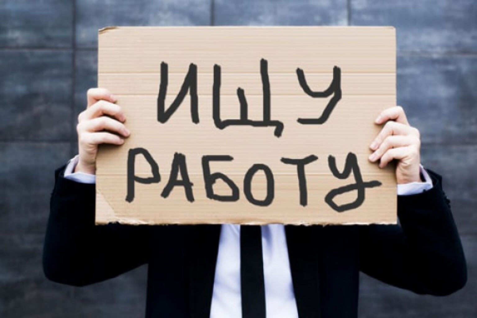 Занятость поиск работы