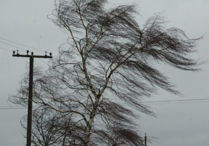 Усиление ветра в Астрахани