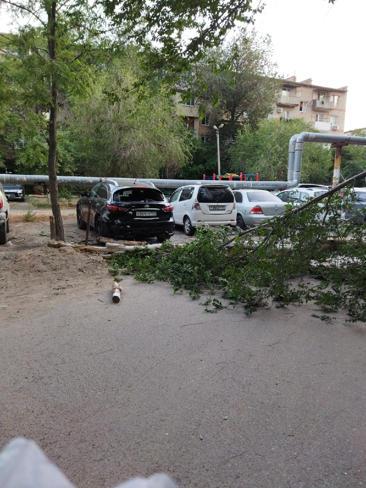 В Астрахани на улице Звёздной дерево рухнуло на иномарку