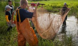 астраханская област спасение рыбной молоди