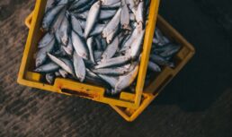 повысить налоги для рыбаков