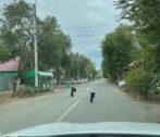 Астраханцы развесили белье на повисших проводах посреди улицы Сен-Симона повесили белье на проводах