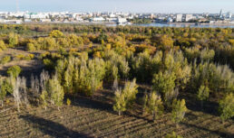 Нужен ли парк в Астрахани на острове Городской?