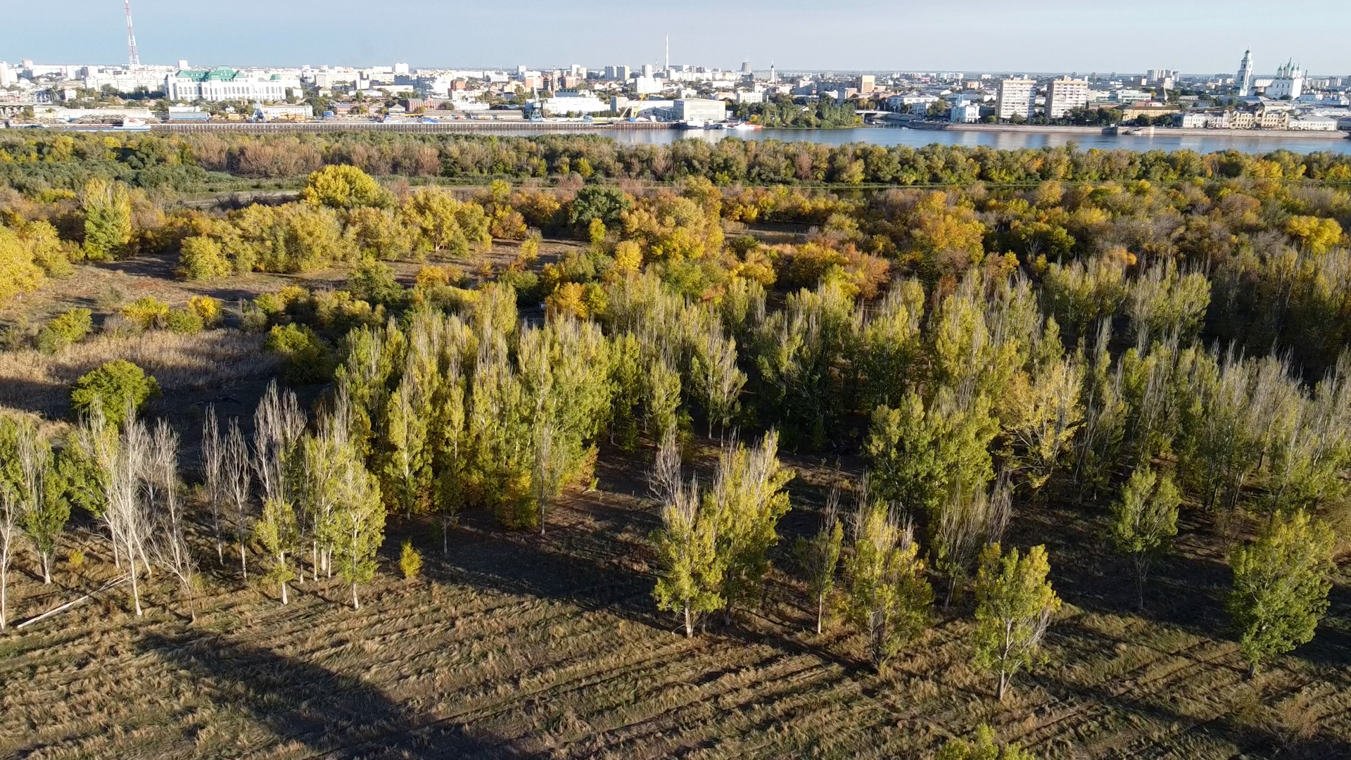 Нужен ли парк в Астрахани на острове Городской?