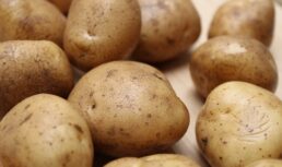 рост цен на картошку