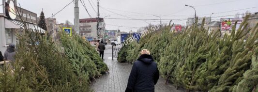 цены на елки в Астрахани