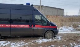 Астраханский следком подтвердил факт гибели мужчины после нападения собак