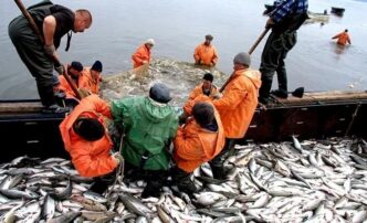 весенняя путина