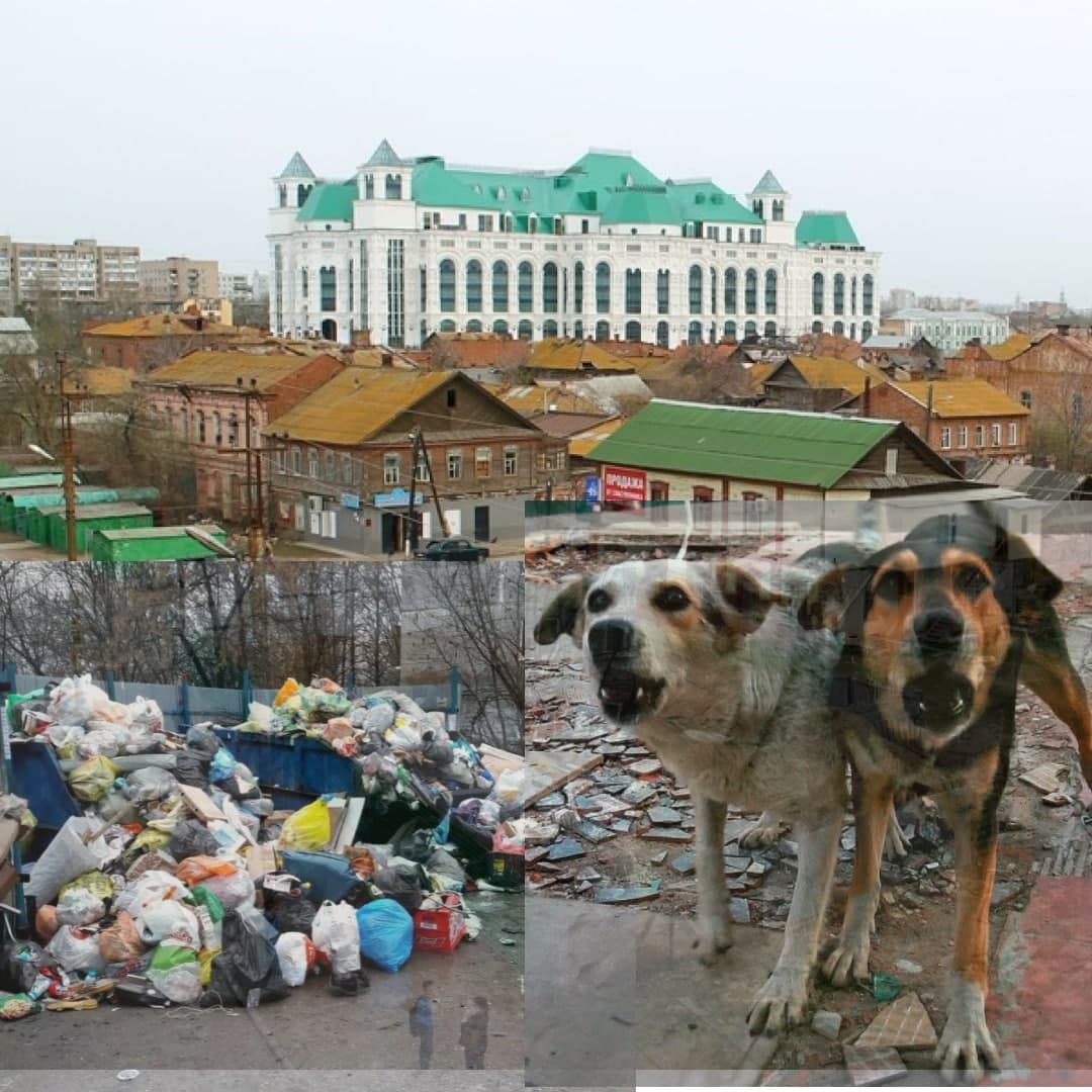 Астраханцы посмотрели на 