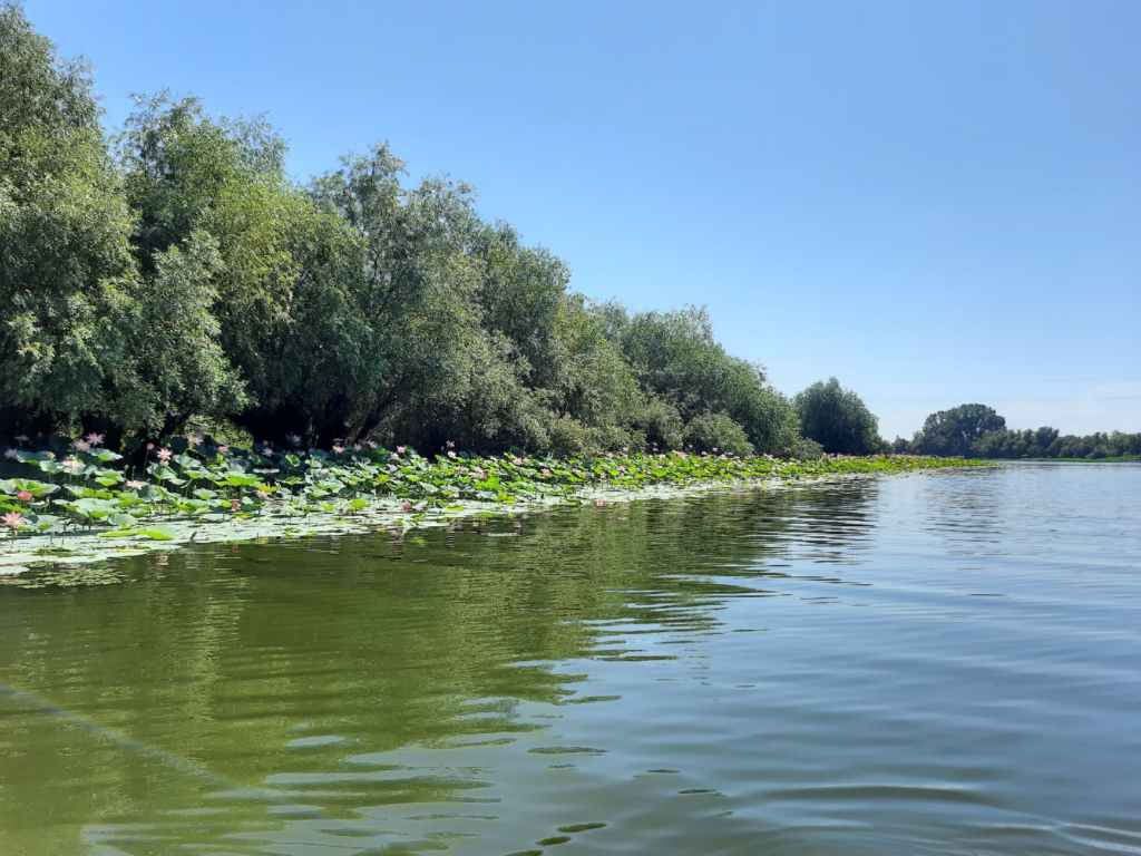 Астрахань в апреле фото