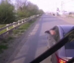 В Астрахани мужчина обстрелял пассажирский автобус В Астрахани мужчина обстрелял пассажирский автобус