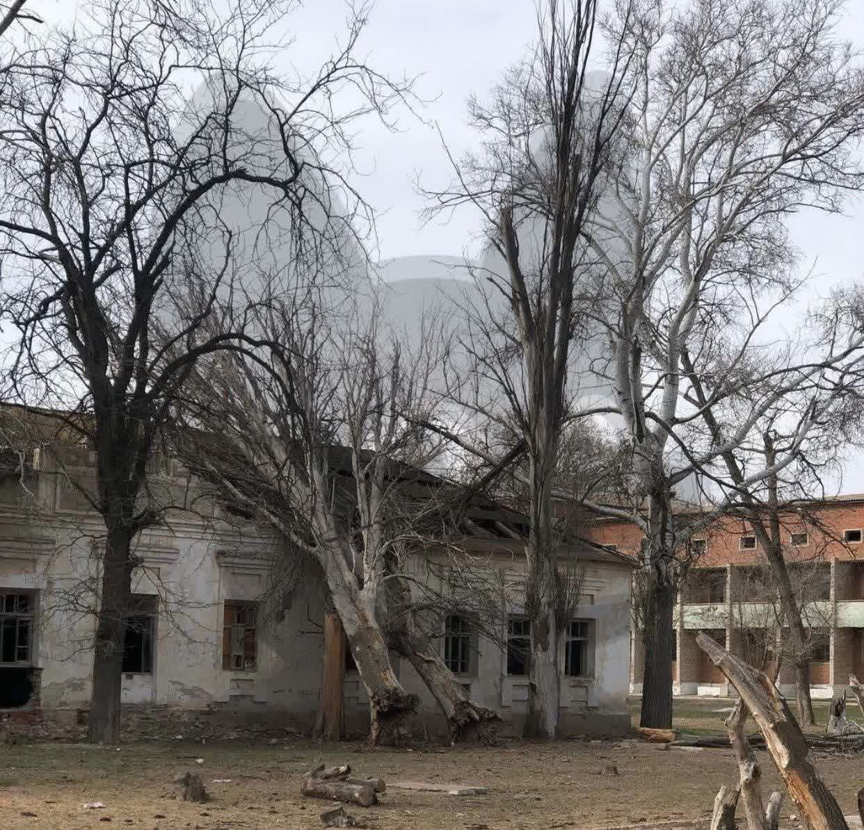 Ксения Собчак возмутилась состоянием села под Астраханью