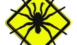 В Астрахани пять человек попали в больницу после укусов змей и пауков пауки