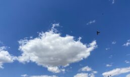 7 июля в&nbsp;Астрахани будет солнечно