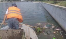 Астраханцы выбрасывают в городские водоемы велосипеды, мебель и бытовую технику Мусор