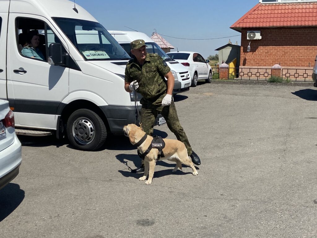 В Астраханской таможне рассказали, по какому принципу служебные собаки  находят запрещенные вещества