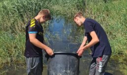 В Астрахани «голубые патрули» спасли более 107 миллионов рыбной молоди