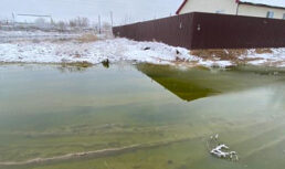 Ущерб почве от разливов сточных вод в Астрахани превысил 14 миллионов рублей