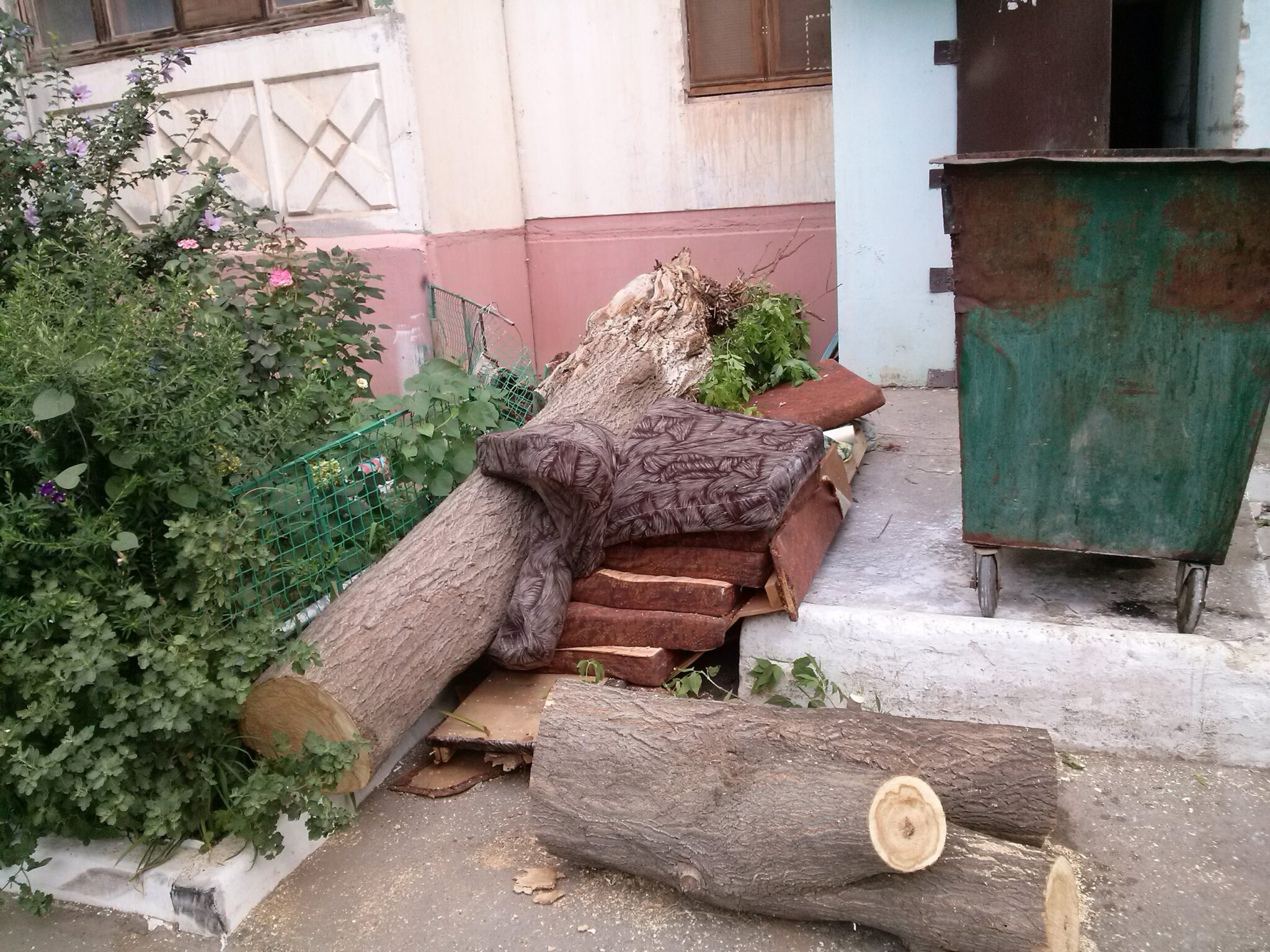 Упала дерева во дворе. Дерево упало на дом. Упавшее дерево во дворе. Астрахань упало дерево. Деревья в Астрахани.