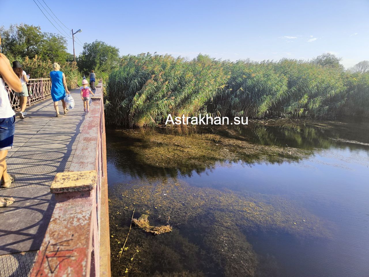 парк на казачьем астрахань