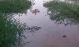 «Мы тонем в фекалиях и грязной воде»: астраханцы просят осушить канализационное озеро на ул. Хибинской