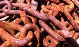 Злоупотребление колбасами и чипсами приводит к раку яичников и щитовидки Злоупотребление колбасами и чипсами приводит к раку яичников и щитовидки