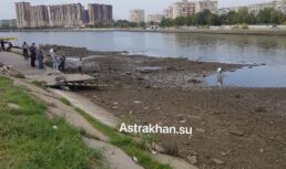 В Астрахани обмелели городские водоемы