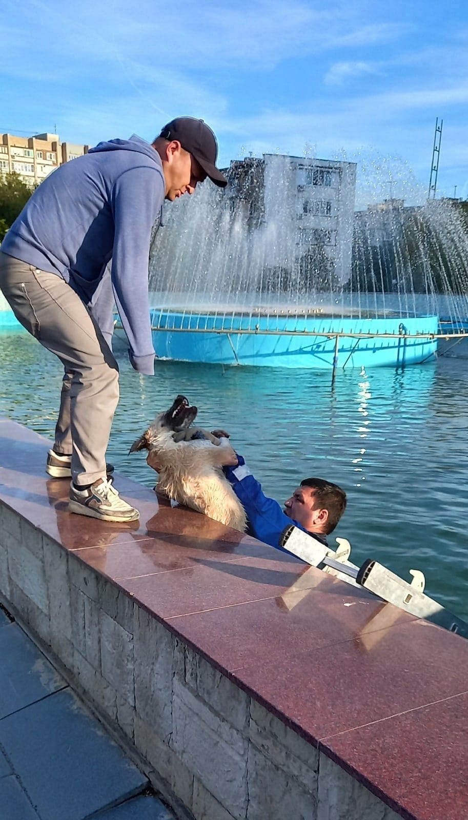 Бездомная собака угодила в бассейн Астраханского театра оперы и балета