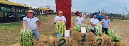 самой большой арбуз