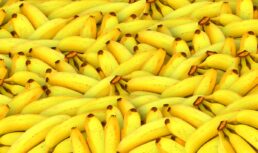 Астраханцы могут остаться без бананов