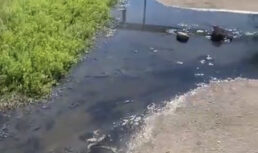 Жители улицы Белгородской в Астрахани продолжают жаловаться на фекальные воды