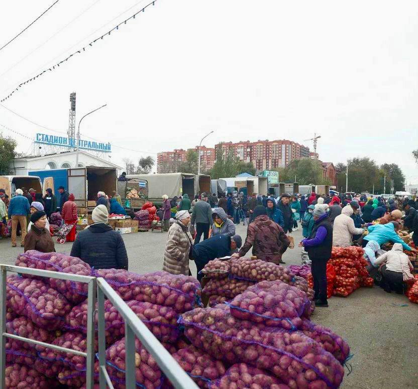 Ярмарка астрахань. Сельскохозяйство Астрахань сельскохозяйственная ярмарка. Сельскохозяйственная ярмарка Астрахань 2022. Деревенская ярмарка.