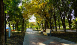 28 октября в Астрахани потеплеет