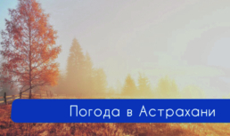 29 ноября в Астрахани будет солнечно
