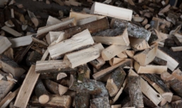 Лесхозы заготавливают дрова для нуждающихся астраханцев