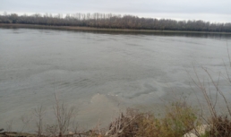 В Астраханской области обнаружили загрязнение водоема
