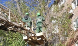 В Астрахани специалисты опилили опасные деревья