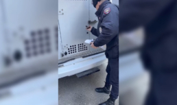 Астраханские полицейские задержали горожан, которые приставали к прохожим
