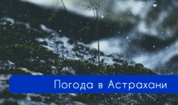 19 декабря в Астрахани ожидается дождь