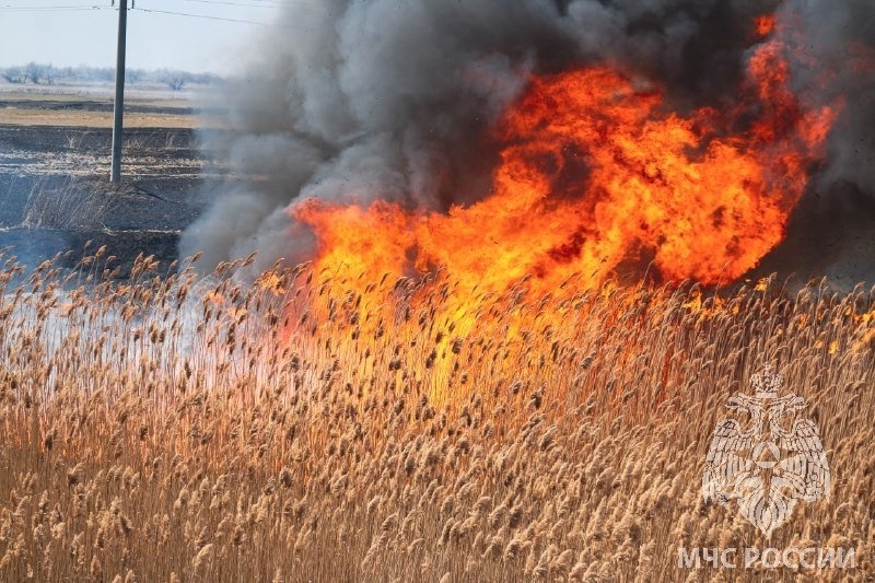 В Астраханской области за неделю произошло более 60 ландшафтных пожаров