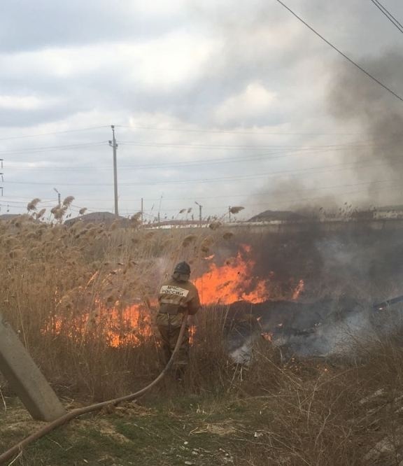 В Астрахани снова горит сухой камыш