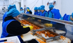 Астраханский завод поставляет замороженные овощи в разные регионы РФ