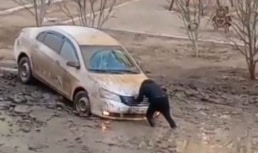 машины увязли в грязи