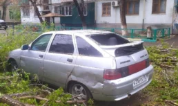 В Астрахани дерево упало на припаркованный рядом автомобиль