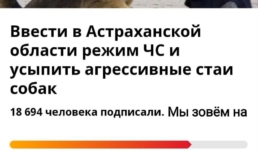 В Астрахани состоится третий митинг против безнадзорных собак