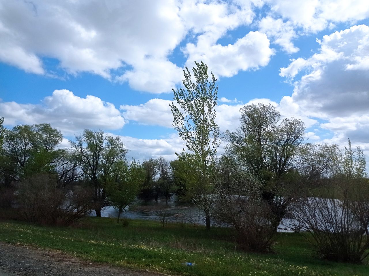 Село седлистое астраханской