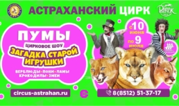 Пумы, ламы, пони, собаки, верблюды, крокодил и даже змеи – в Астраханском Цирке возможно всё!