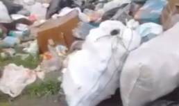 «Спасибо нашим туристам»: астраханцы жалуются на мусорную свалку