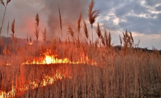 Сегодня в Астраханской области ожидается чрезвычайная пожароопасность