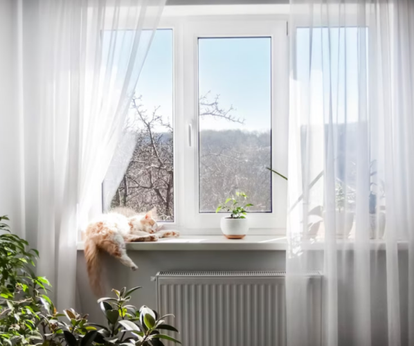 духота окно кот
